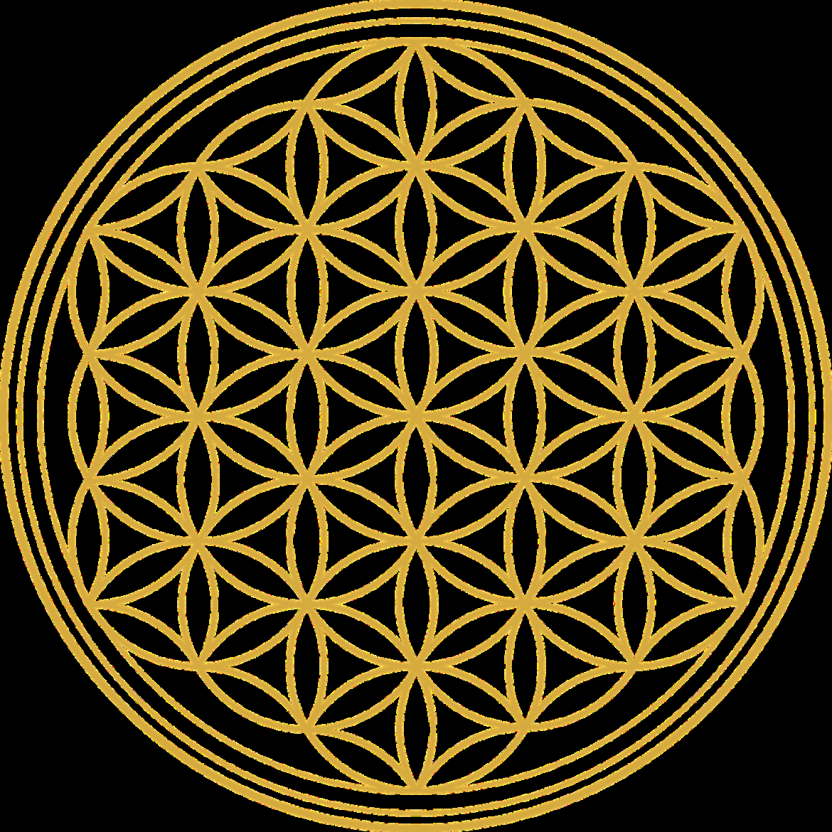 flower-of-life-flower-graphic-2648527.jpg